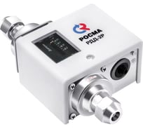 Реле дифференциального давления РОСМА РДД-2Р, присоединение G1/4, давление 0,05-0,4МПа D070-04136