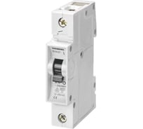 Автоматический выключатель Siemens 5SX21166
