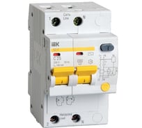 Автоматический дифференциальный выключатель IEK 2п 25А 100мА АД-12 С MAD10-2-025-C-100
