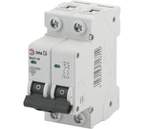 Автоматический выключатель ЭРА ВА47-29 2P 16А кривая C Б0031932