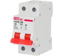 Миниатюрный автоматический выключатель HOROZ ELECTRIC SAFE (MCB 2P C63) 2P 63A C 4.5kA 400V 114-002-2063 HRZ00002663