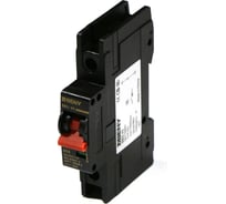 Автоматический выключатель постоянного тока ZJBeny 1P 40А В 600V характеристика В 1.5 кА BB2-40 1P 40 600V