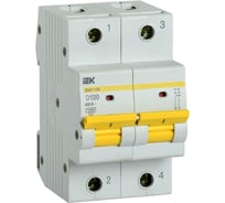 Автоматический выключатель IEK ВА47-150, 2Р, 100А, 15кА, характеристика D MVA50-2-100-D