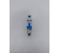 Автоматический выключатель ELCOMTECH MCB31J-10-1C16AC УТ-00026491