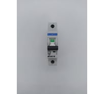 Автоматический выключатель ELCOMTECH MCB21B-10-1C16AC УТ-00026282