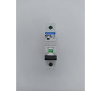 Автоматический выключатель ELCOMTECH MCB21B-4,5-1C25AC УТ-00026248