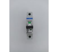 Автоматический выключатель ELCOMTECH MCB21B-10-1C63AC УТ-00026288