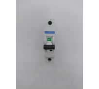 Автоматический выключатель ELCOMTECH MCB21B-6-1C63AC УТ-00026270