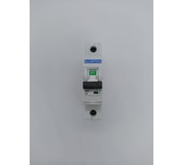 Автоматический выключатель ELCOMTECH MCB21B-6-1C6AC УТ-00026262
