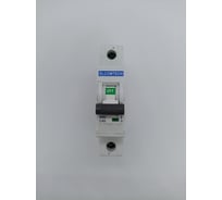 Автоматический выключатель ELCOMTECH MCB21B-6-1C40AC УТ-00026268