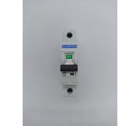 Автоматический выключатель ELCOMTECH MCB21B-6-1C20AC УТ-00026265