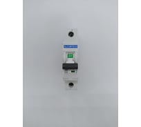 Автоматический выключатель ELCOMTECH MCB21B-6-1C25AC УТ-00026266