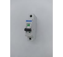 Автоматический выключатель ELCOMTECH MCB21B-6-1C16AC УТ-00026264
