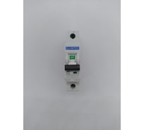 Автоматический выключатель ELCOMTECH MCB21B-6-1C10AC УТ-00026263