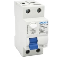 УЗО ANDELI ADB1L-63 2P 40A ток утечки 100mA тип AC 6kA () ADL03-008