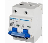 Автоматический выключатель ANDELI ADB3-125H 2P, 100A 10KA, тип D (8-12In) ADL01-669