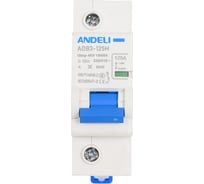 Автоматический выключатель ANDELI ADB3-125H 1P, 125A 10KA, тип D (8-12In) ADL01-666