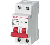 Модульный автоматический выключатель CNC Electric YCB9-80M 50А 2P 6кА C A030328