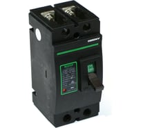 Автоматический выключатель постоянного тока ZJBeny 2Р 175А 500В BDM-250 2P 500V 175A