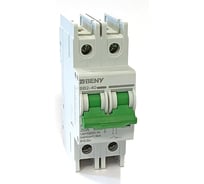 Автоматический выключатель постоянного тока ZJBeny 2П 20А В 1000V BB2-40 2P 20 1000V
