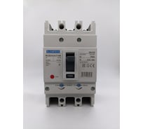 Автоматический выключатель в литом корпусе ELCOMTECH MCCB21B-35-3T100M, 3п 100А 35кА, термо-магнитный УТ-00026314