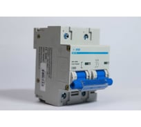 Автоматический выключатель APEX BA 47-100 2P 40А характеристика D 10kA PROFF ME21051