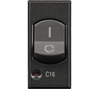 Двухполюсный термомагнитный выключатель Legrand Axolute с индикатором защиты 1 полюса, 16 А, размыкающая способность 3000 А, 127/230 В~, цвет антрацит HS4301/16