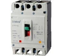 Автомат в литом копусе iskra MOD2-3NL-200 УТ-00033726