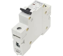 Автоматический выключатель Iskra RI51-C20 УТ-00019729