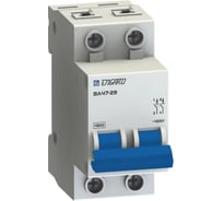 Автоматический выключатель Engard ВА47-29 2р C10 4,5кА VA4729-2С-10