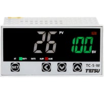 Регулятор температуры TETSU TC-5-W-W-1-T/R-2, шт R-00000274