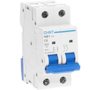 Автоматический выключатель CHINT NB1-63, 2P, 6A, 6кА, характеристика C 179667