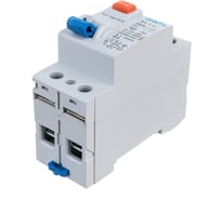 Устройство защитного отключения CHINT NL1-63 6kA 2P 25A 30mA тип AC 200212