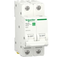 Автоматический выключатель Systeme Electric RESI9 АВ B 20А 2P 6000A R9F02220