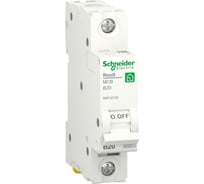 Автоматический выключатель Systeme Electric RESI9 АВ B 20А 1P 6000A R9F02120