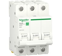 Автоматический выключатель Systeme Electric RESI9 АВ B 63А 3P 6000A R9F02363