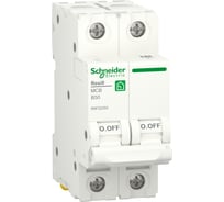 Автоматический выключатель Systeme Electric RESI9 АВ B 50А 2P 6000A R9F02250