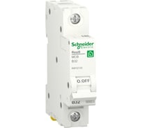 Автоматический выключатель Systeme Electric RESI9 АВ B 32А 1P 6000A R9F02132