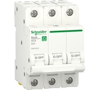 Автоматический выключатель Systeme Electric RESI9 АВ B 25А 3P 6000A R9F02325