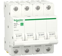 Автоматический выключатель Systeme Electric RESI9 АВ B 25А 4P 6000A R9F02425