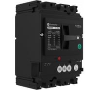 Автоматичексий выключатель Systeme Electric SYSTEMEPACT CCB160 100KA 4P4D S5.2E 160A SPC160S16052E4DF