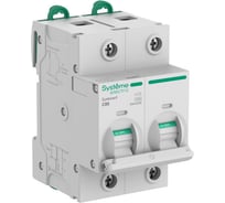 Автоматический выключатель (АВ) Systeme Electric Systeme9 27 мм, хар-ка C, 80 A, 2 P, 10 kA, 400 В S9H32280