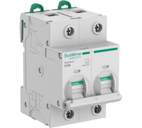 Автоматический выключатель (АВ) Systeme Electric Systeme9 27 мм, хар-ка D, 100 A, 2 P, 10 kA, 400 В S9H33291