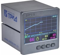 Программный регулятор температуры ТРИД РТМ114-1В1А1Т4Р-485 00-00020646