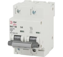 Автоматический выключатель ЭРА PRO NO902275 ВА47100 2Р 40А 10 кА кривая С Б0048865