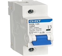 Автоматический выключатель CHINTNXB-125 1P 100А 10кА х-ка C (R) 816125