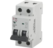 Автоматический выключатель ЭРА PRO NO902226 ВА47-29 2Р, 40А, 4,5кА, кривая D Б0048816