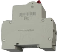 Автоматический выключатель дифференциальный ELCOMTECH RCBO21J-6-1NС6-A30 модульный выключатель 1P+N 6A C 6kA 30mA Type A 2х модуль УТ-00039022