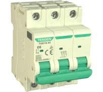 Автоматический выключатель миниатюрный TENGEN TGB1N-63-3PC6 модульный выключатель 3P 6A C 6kA 3х модуль УТ-00026930