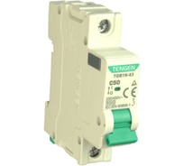 Автоматический выключатель миниатюрный TENGEN TGB1N-63-1PC50 Модульный выключатель 1P 50A C 6kA 1х модуль УТ-00026940